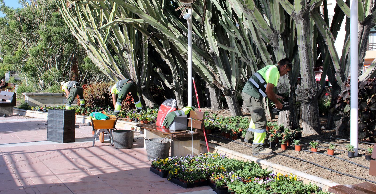 Operarios durante el mantenimiento de zonas verdes en el municipio.