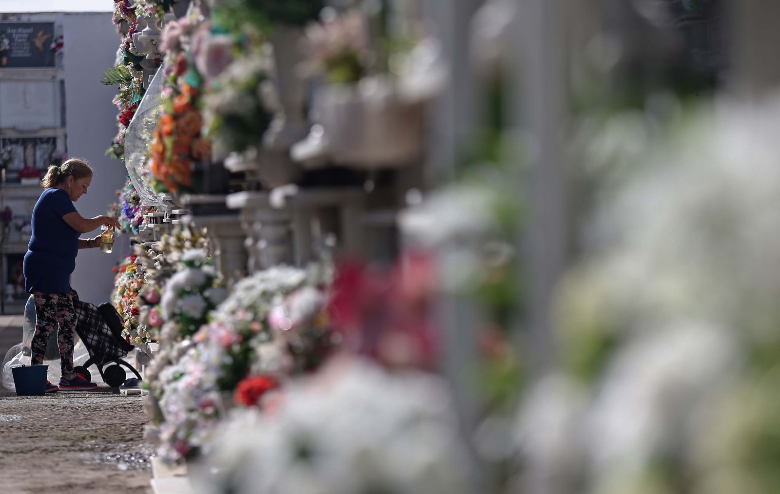 Fotos de los preparativos para los Tosantos en el cementerio de Algeciras