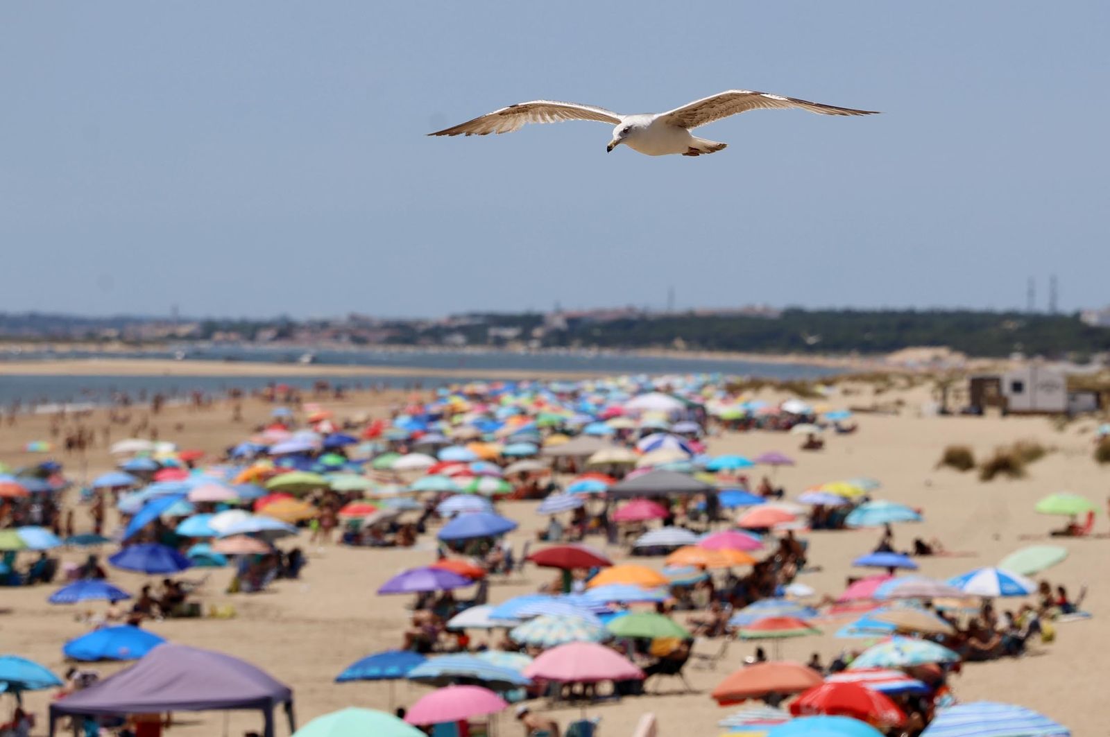 Imágenes del ambiente en las playas de Matalascañas, La Bota y Mazagón durante la mañana del domingo