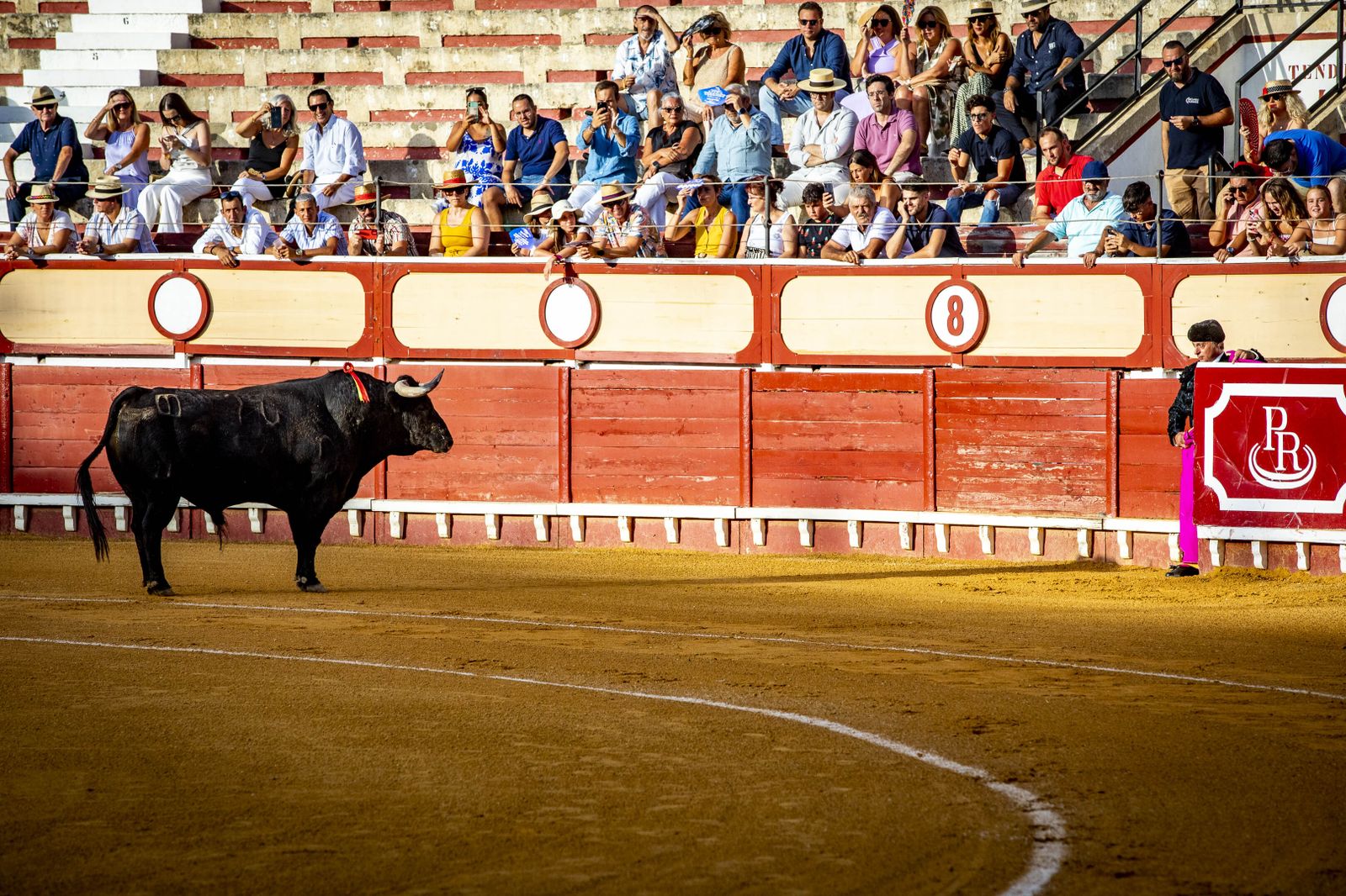 Daniel Crespo, Manzanares y Juan Ortega, en la plaza de toros de El Puerto