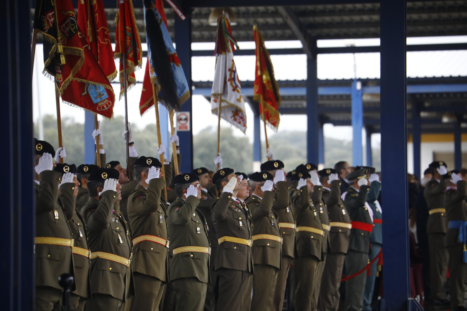 El desfile militar de la Brigada de Córdoba por la festividad de la Inmaculada, en imágenes El desfile militar de la Brigada de Córdoba por la festividad de la Inmaculada, en imágenes