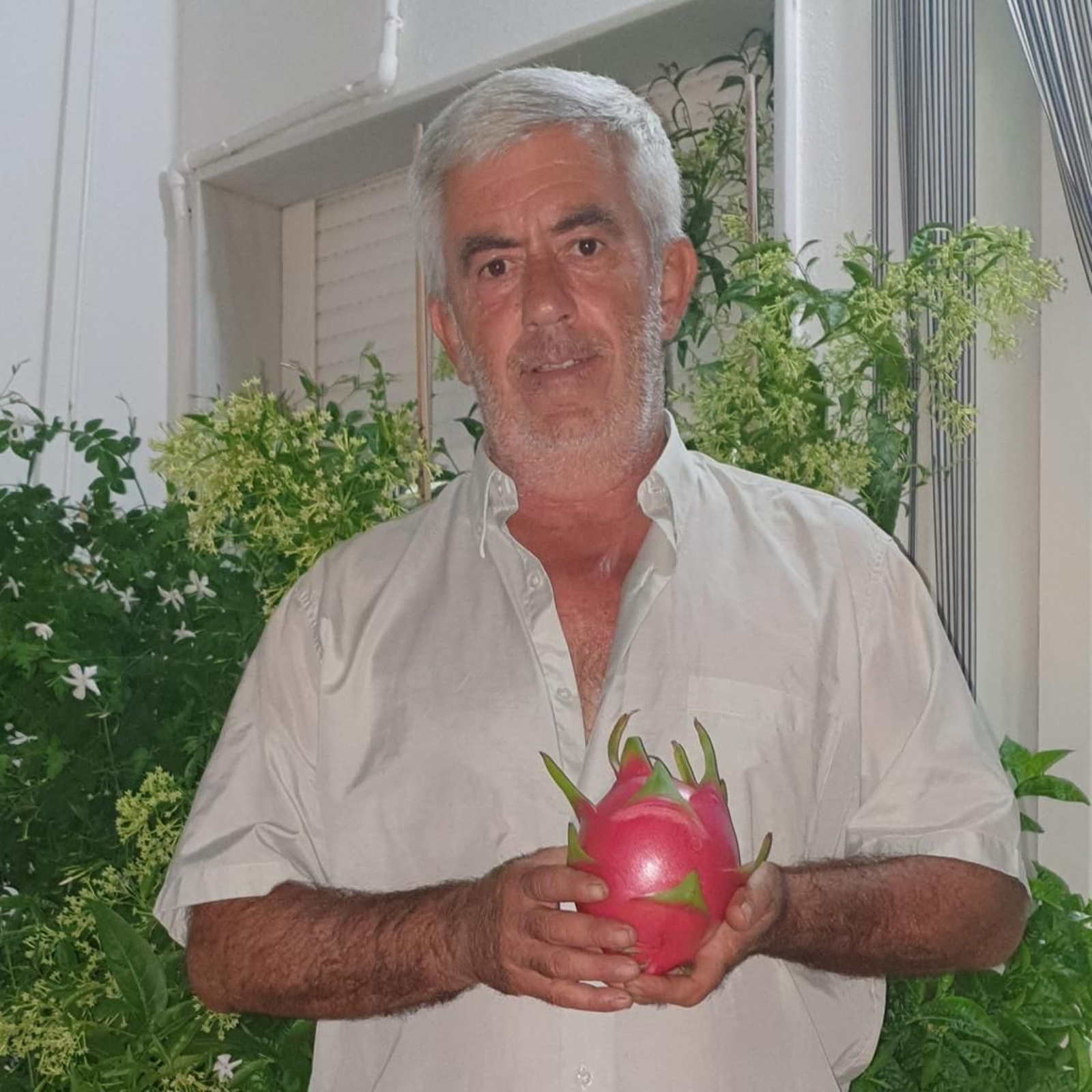 Alberto Garrocho muestra una pitaya.