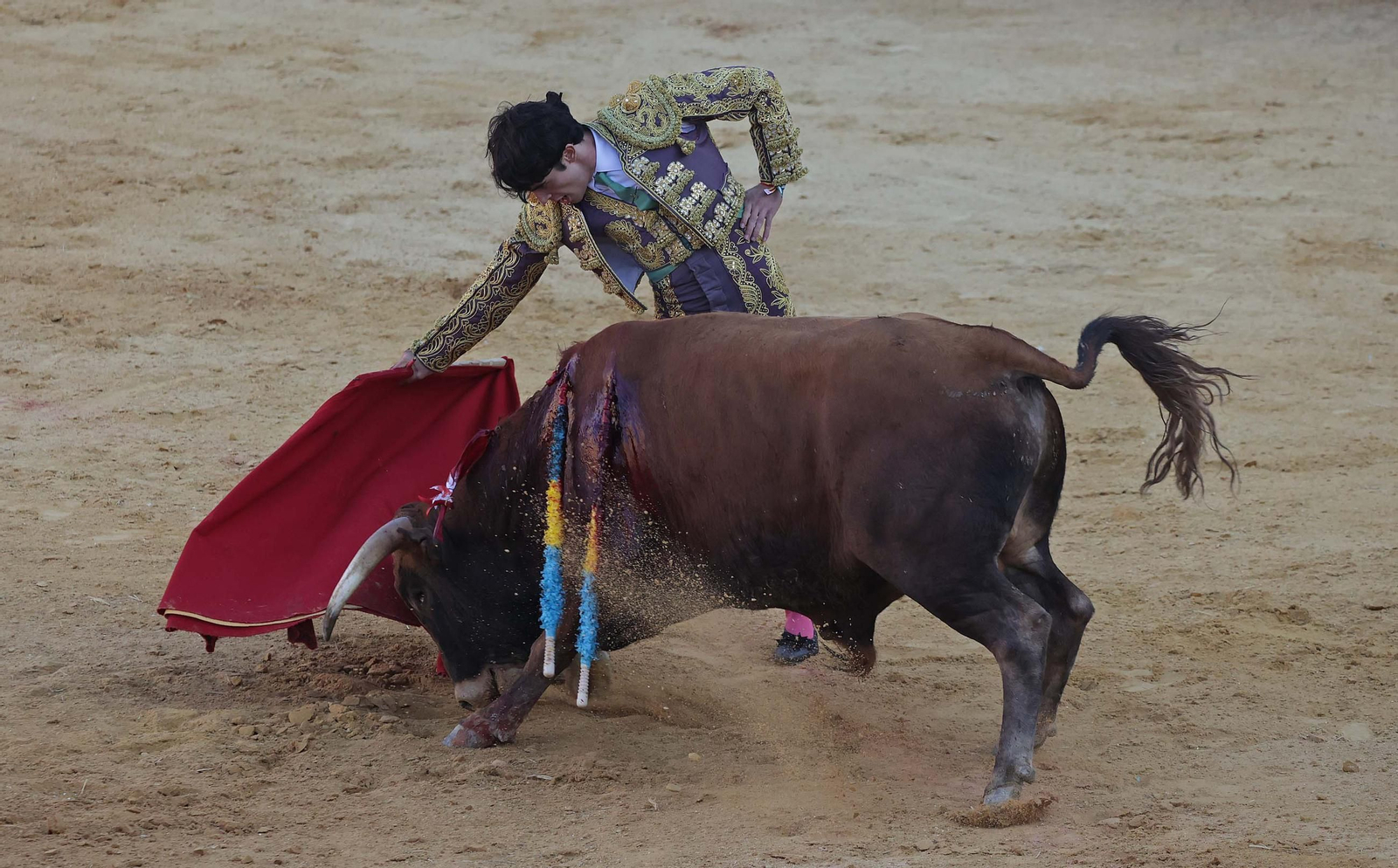 Fotos de la novillada sin picadores del miércoles de la Feria Real de Algeciras 2025
