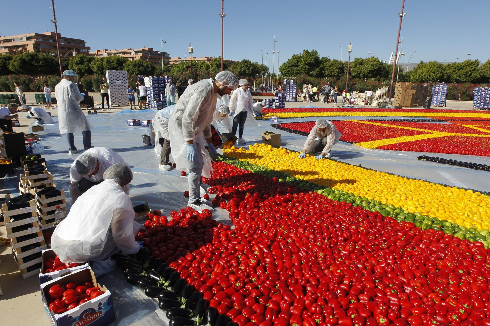 Fotogalería Récord Guinness Corazón Hortalizas Almería