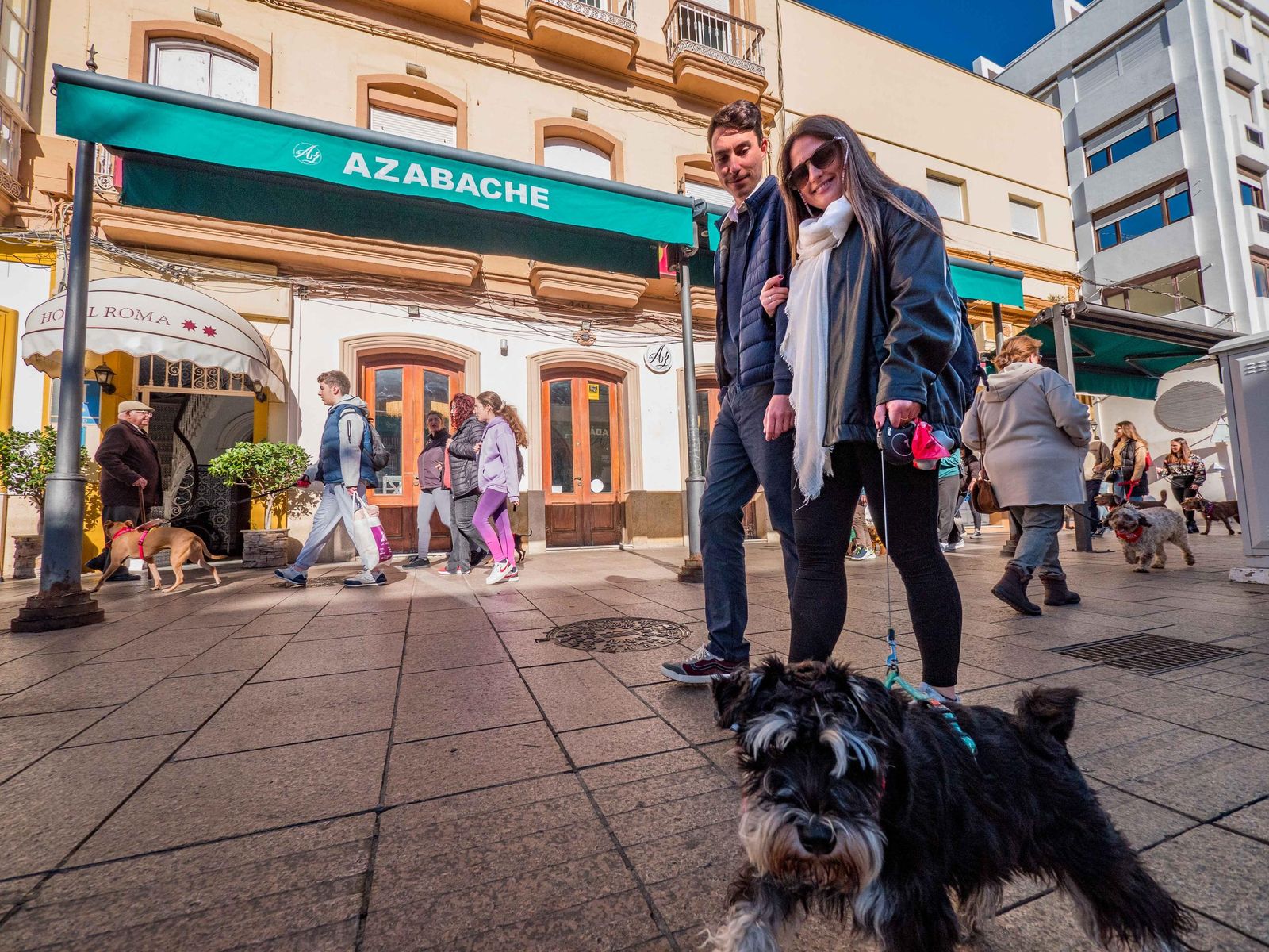 Las imágenes de San Antón 2025 en San Fernando