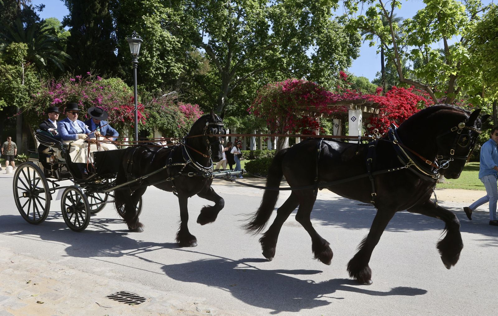 X copa CIAT   Concurso de Enganches