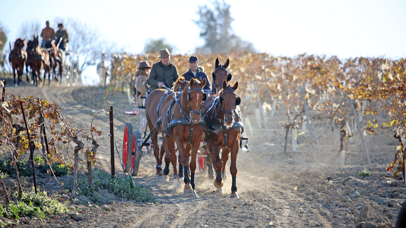 II Ruta Viñas de Jerez
