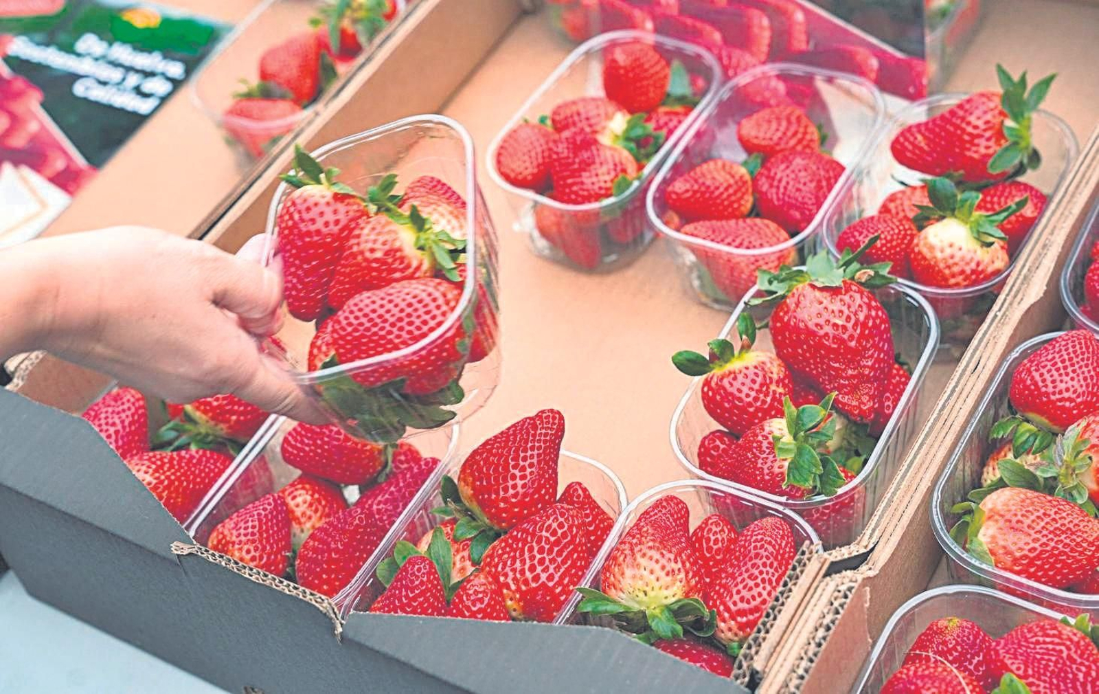 Cómo los frutos rojos pueden mejorar nuestra salud