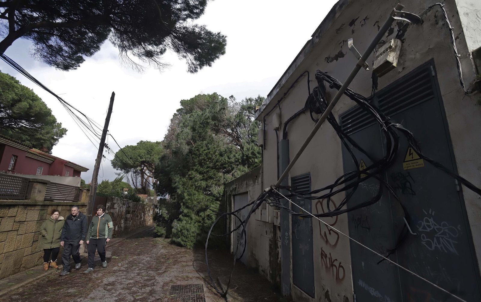 24 horas sin electricidad en la urbanización Los Pinos por árboles caídos tras la borrasca Kristin, en imágenes