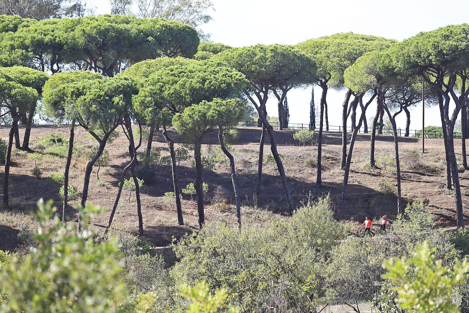 Las imágenes más destacadas del sábado 21 de octubre en Huelva