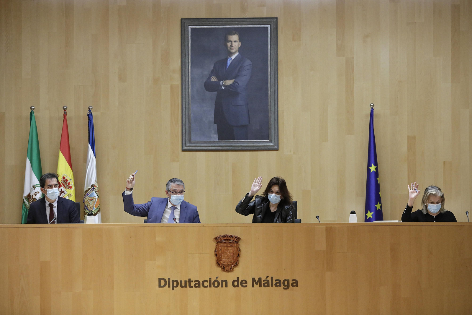 Pleno en la Diputación de Málaga.