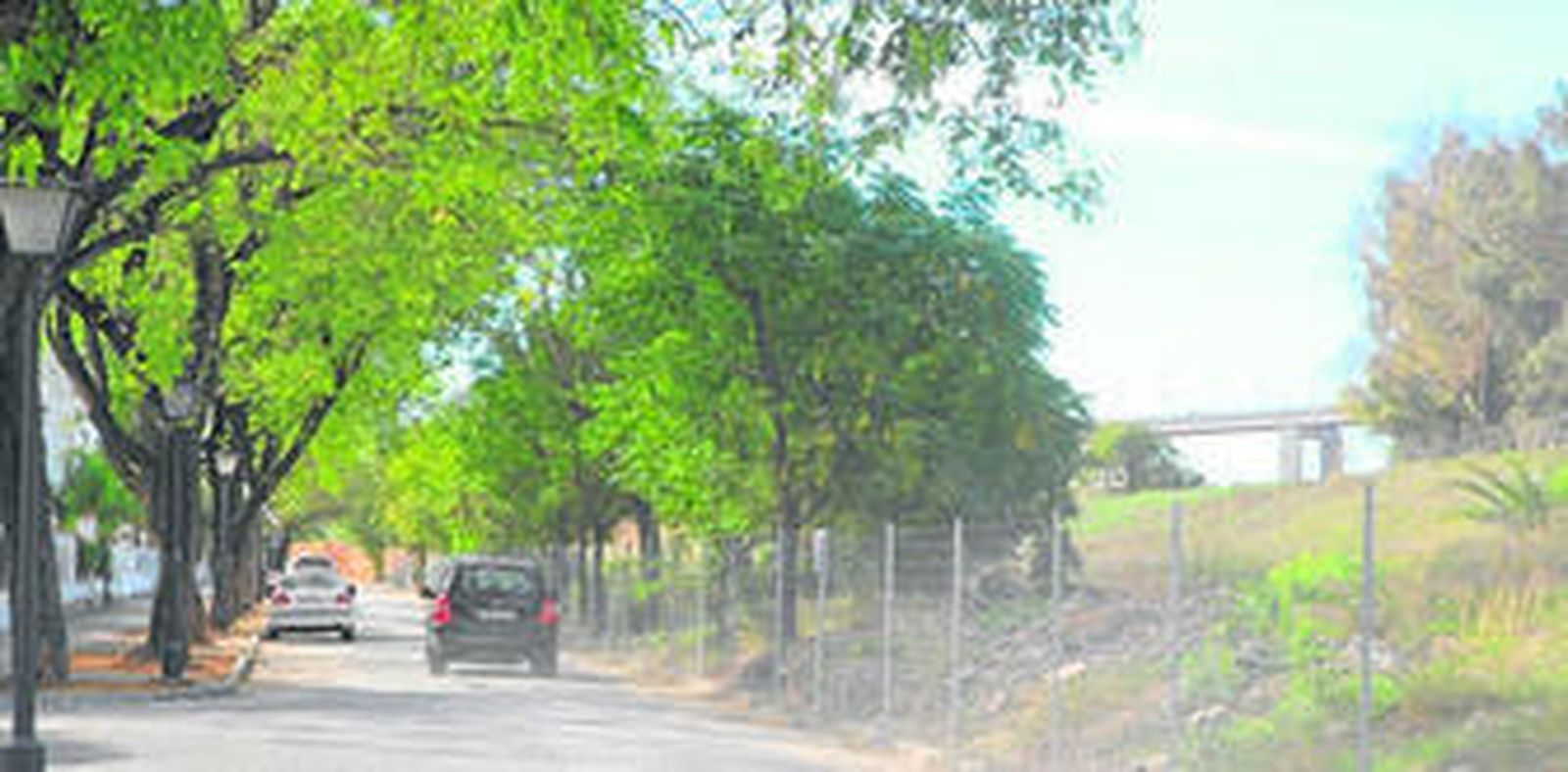 Arriba, una máquina pasa por el lateral de la calle Perú sin árboles, este martes. Abajo, la arboleda que había.