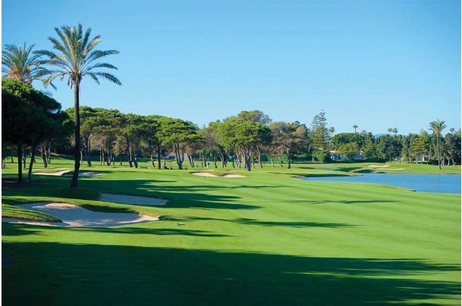 El Real Club Sotogrande, escenario de la Copa que lleva su nombre