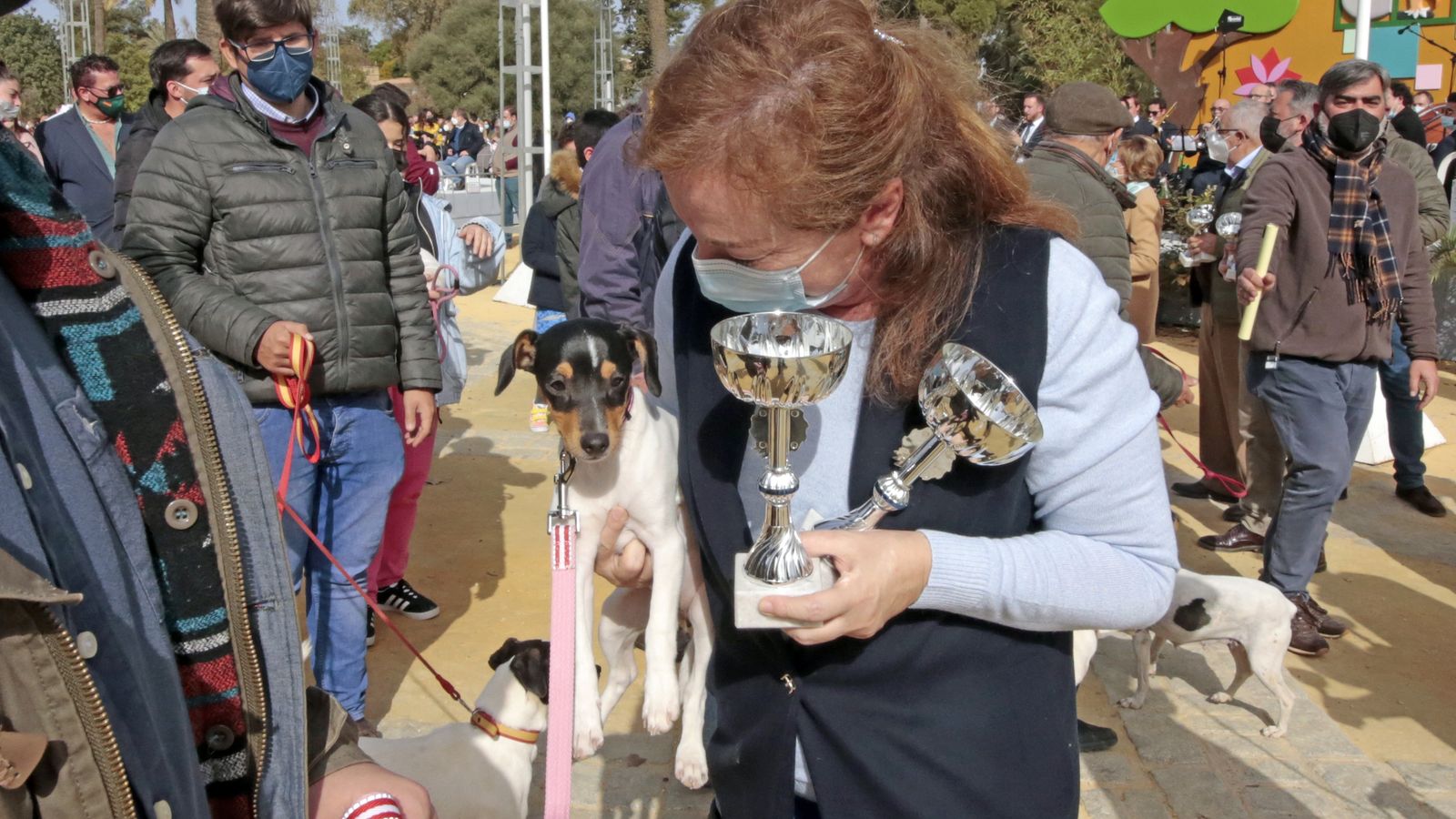 Imágenes de la 'Fiesta de San Antón 2022'