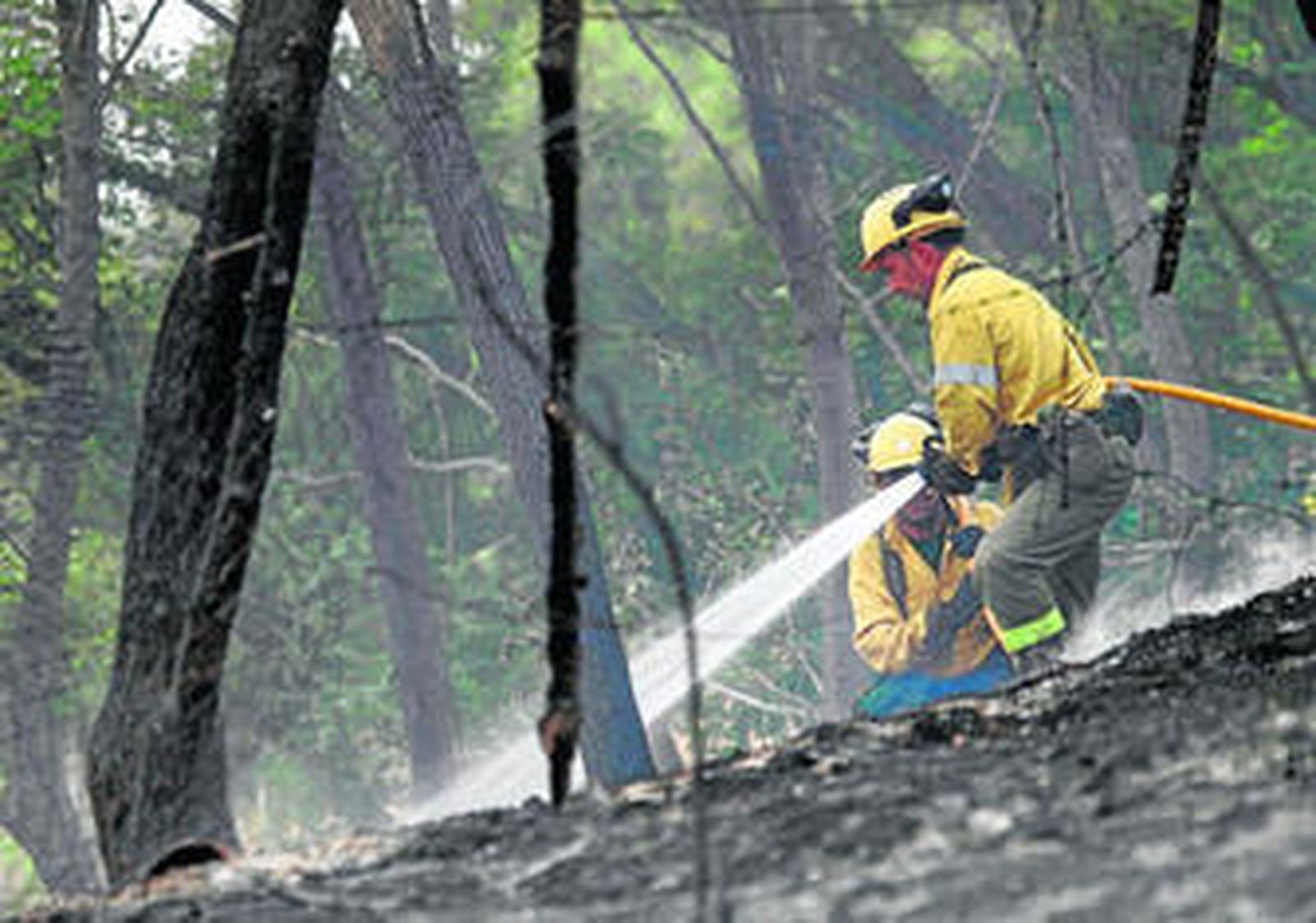 Imagen durante los trabajos de extinción del fuego producido ayer en la zona de El Acebuchal.