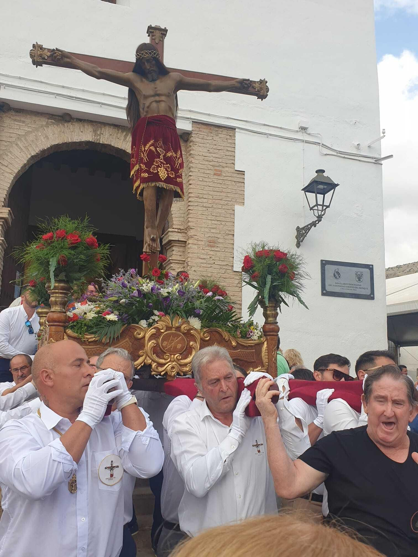 La procesión del Cristo del Bosque de Bacares, en imágenes