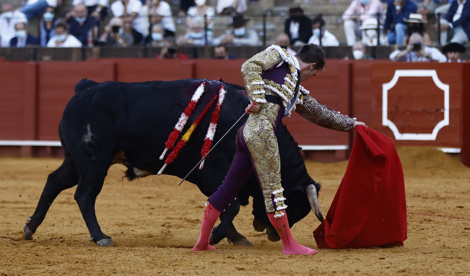 Fotos de la segunda novillada de la feria de San Miguel de Sevilla