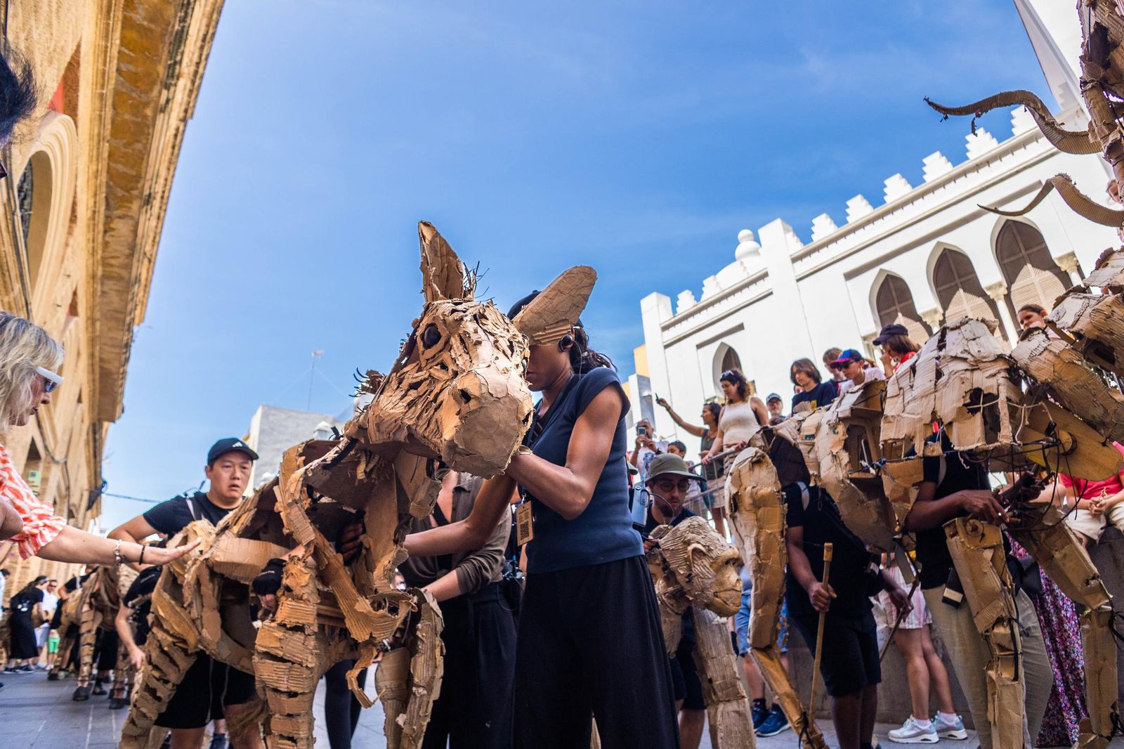 Las imágenes de 'La estampida' en San Fernando