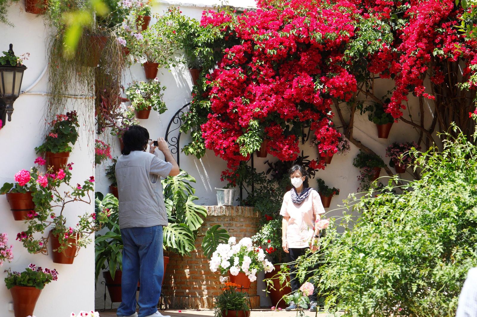 Un recorrido en imágenes por los patios de la ruta Regina-Realejo