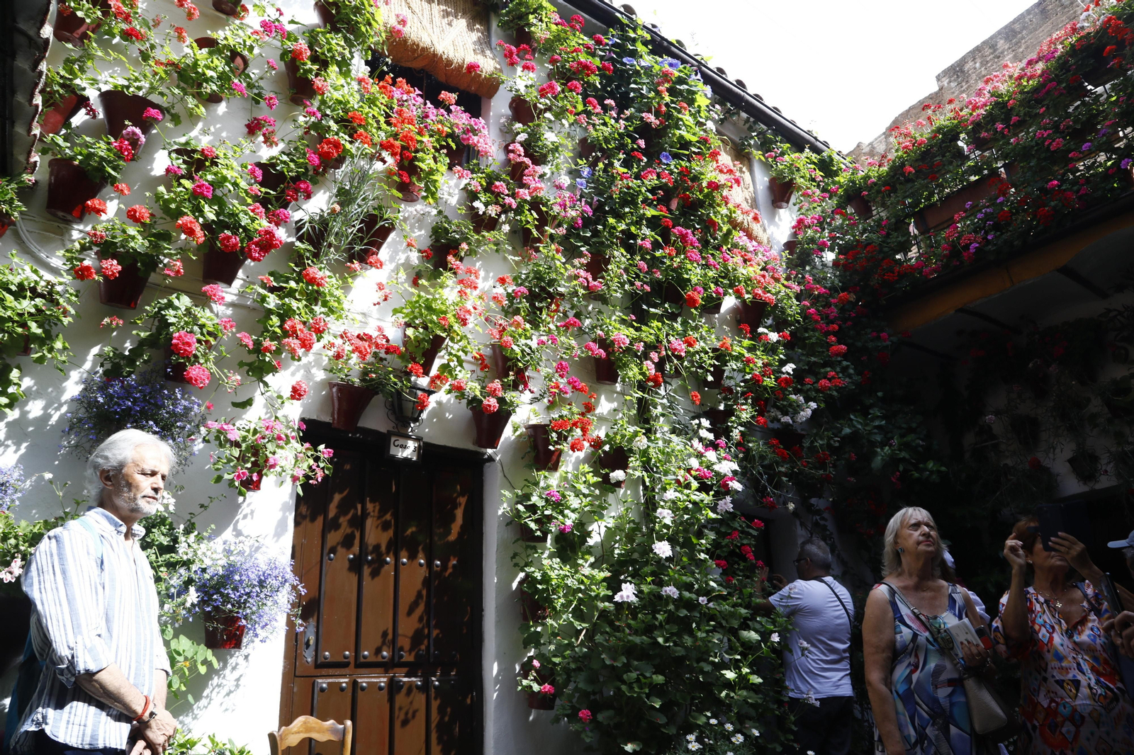 El primer día de Patios en Córdoba, en imágenes