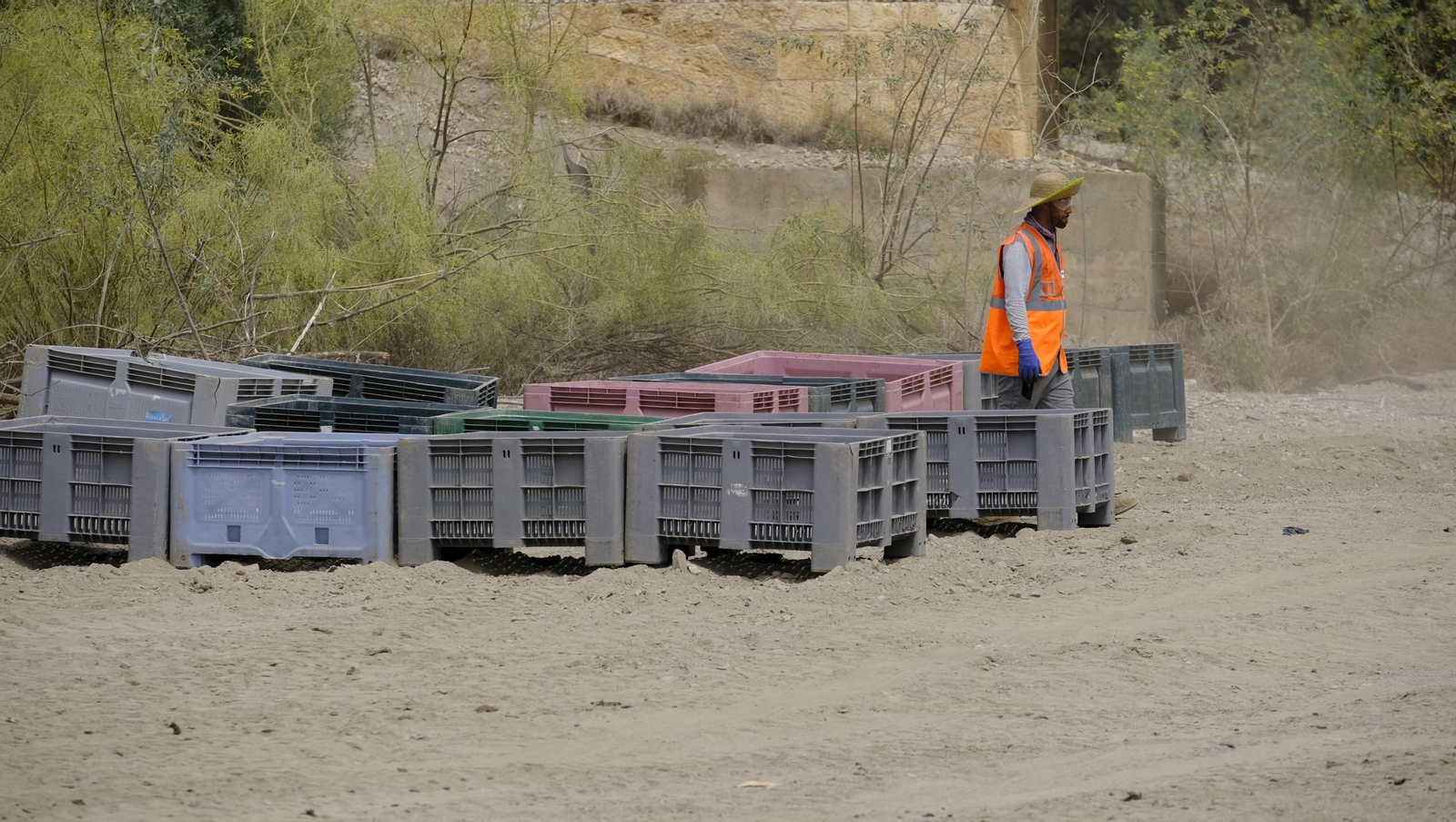 La sandía y el melón de Huércal Overa, manjares en imágenes