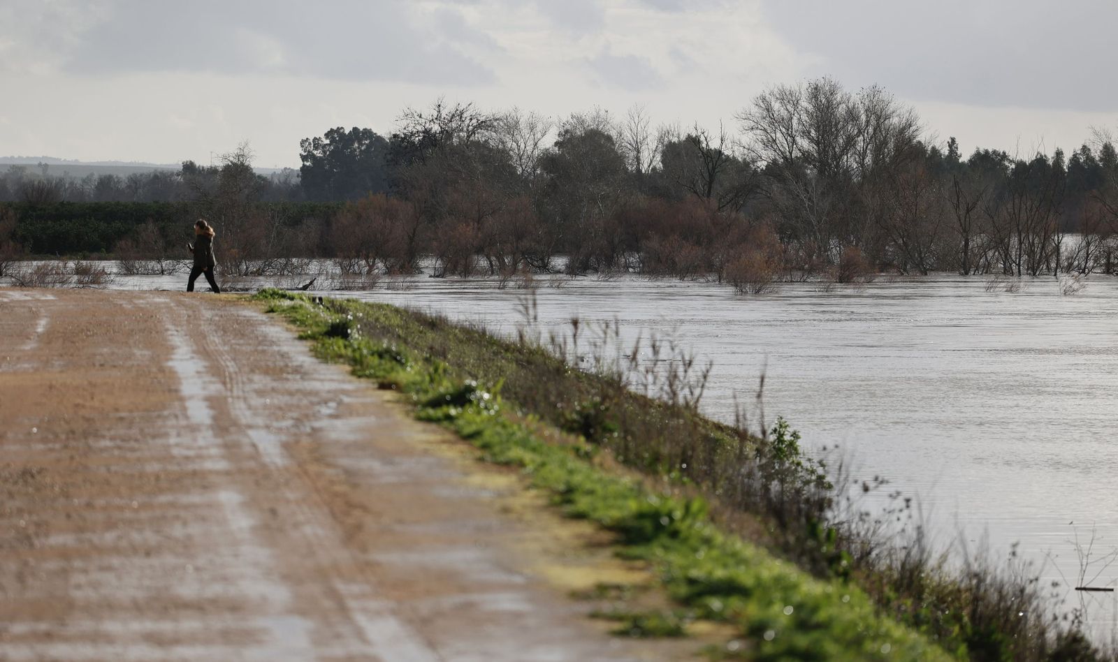 Las fotos de la crecida del río Guadalquivir en Lora del Río por la borrasca Leonardo