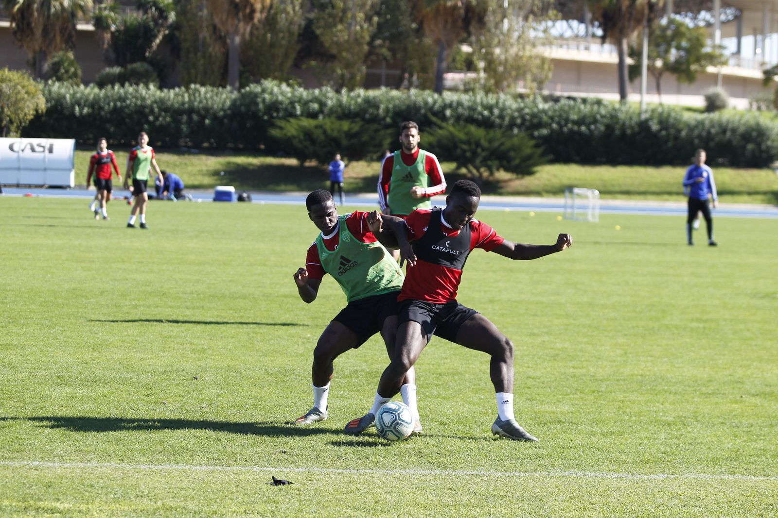 Fotogalería del entrenamiento del Almería 7-XI