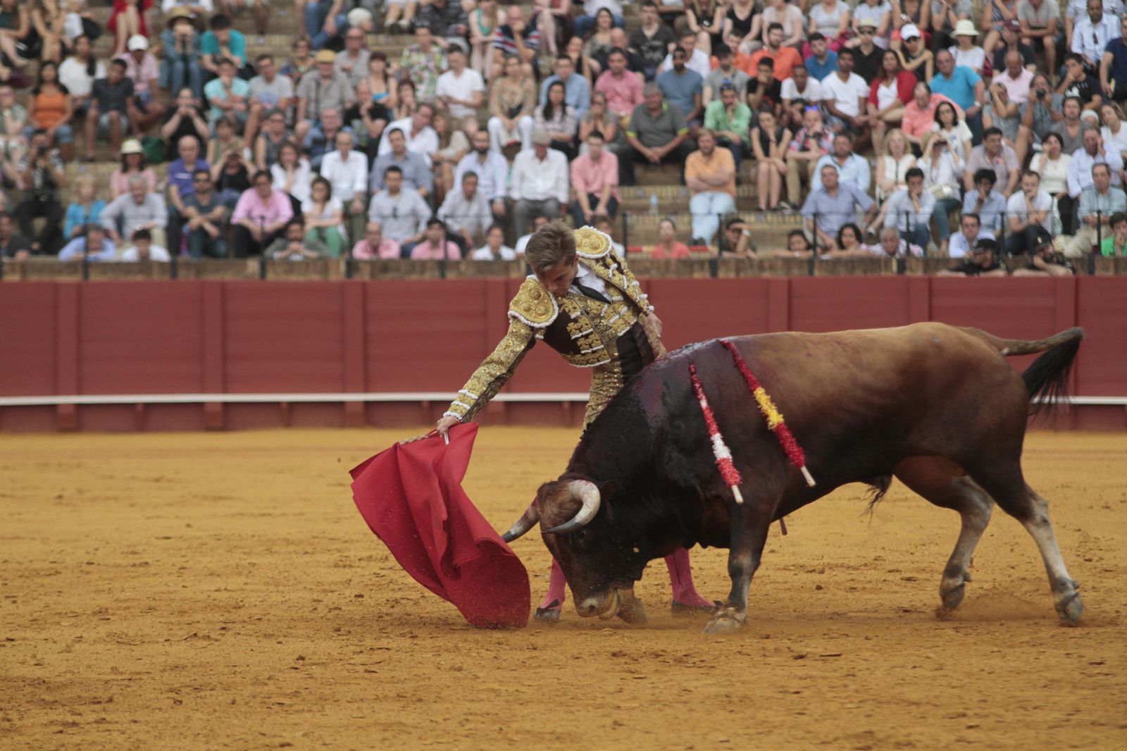 Las imágenes de la decimosexta de abono de La Maestranza