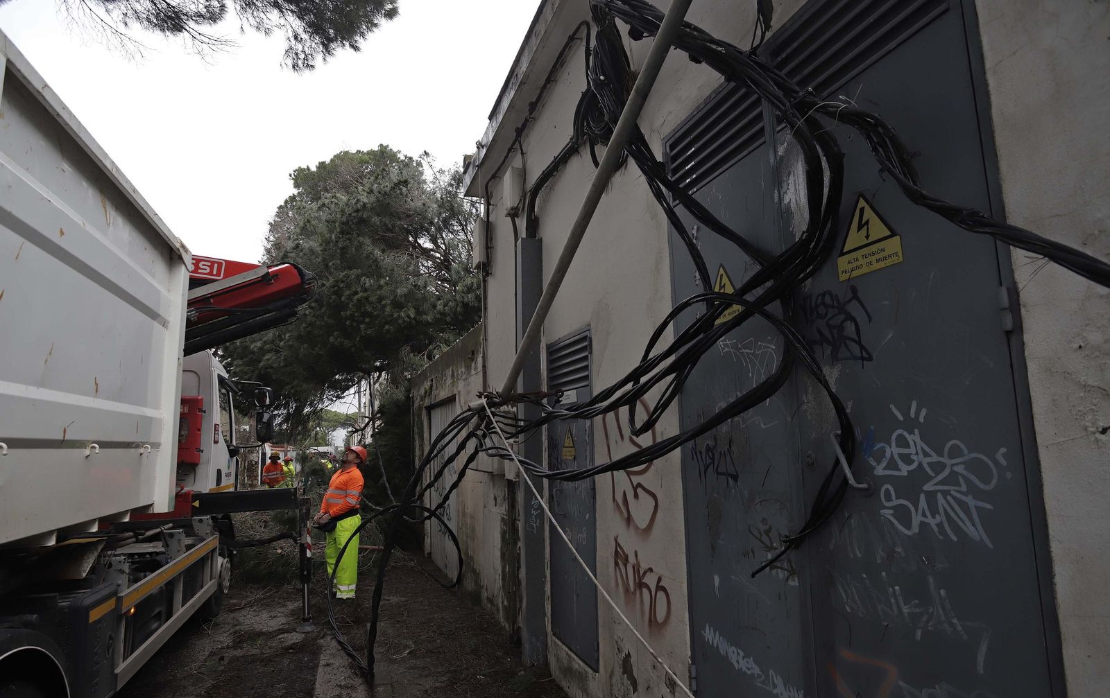 24 horas sin electricidad en la urbanización Los Pinos por árboles caídos tras la borrasca Kristin, en imágenes