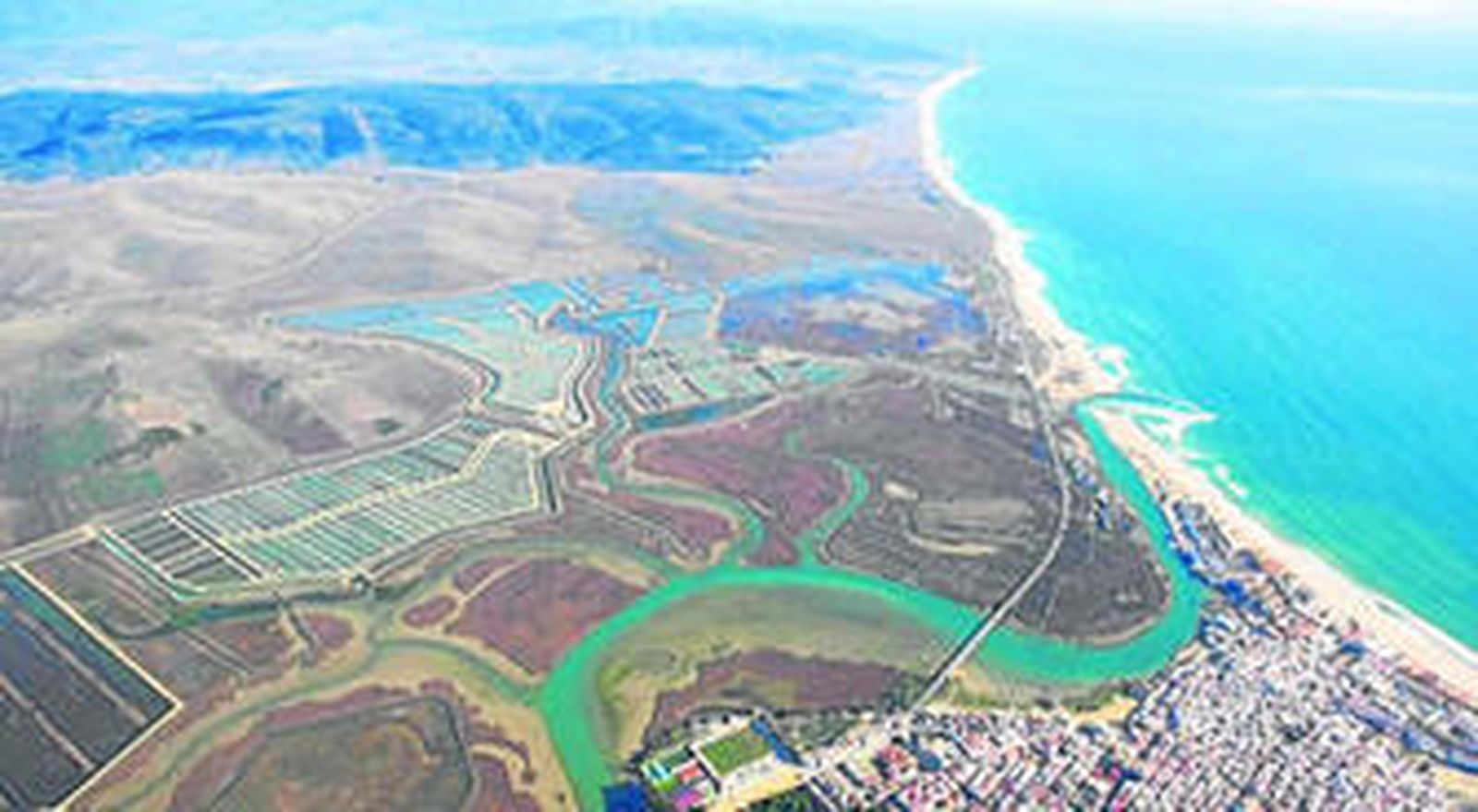 Las marismas del río Barbate acogen el proyecto de la empresa de Cultivos Piscícolas de Barbate (Cupibar).