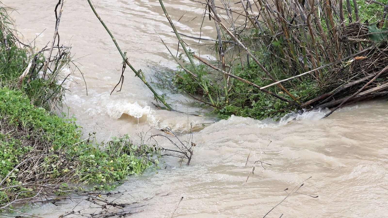 El Guadalete comienza a bajar su nivel poco a poco por la zona rural de Jerez
