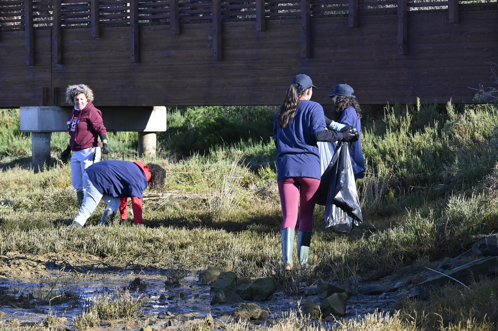 Plantación de la especie autóctona Espartina Marítima en imágenes