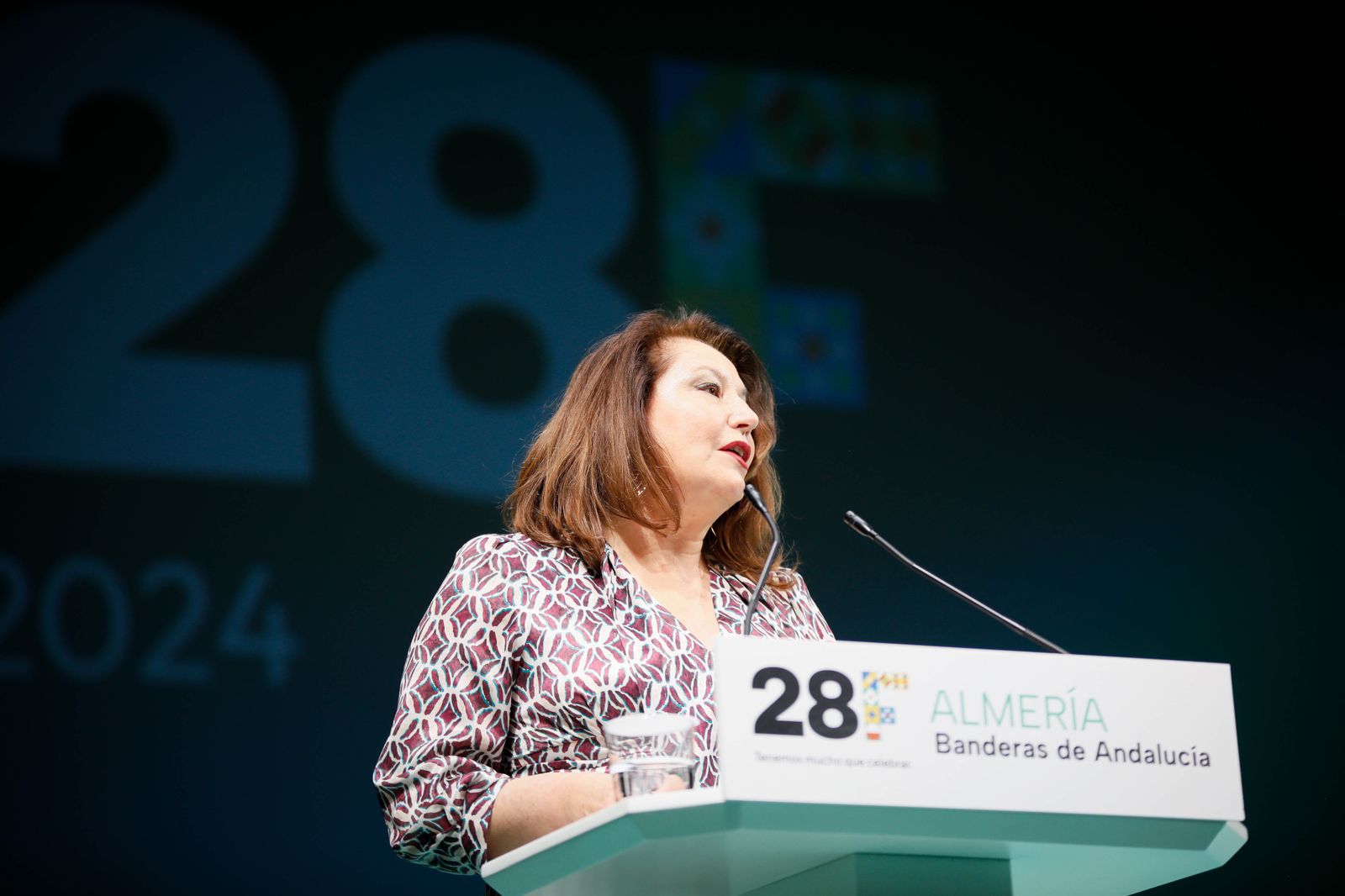 Imágenes de las entregas de las banderas de Andalucía