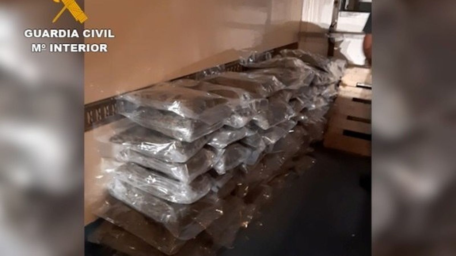 Alijo de droga transportada en camiones.