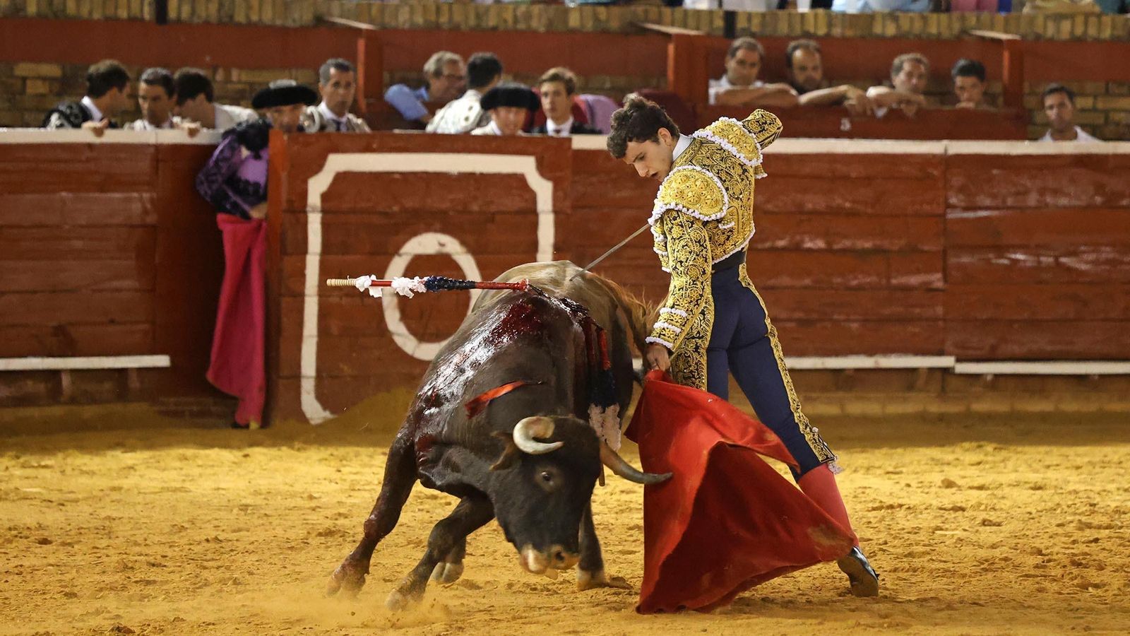 Carlos Tirado Carlos Tirado