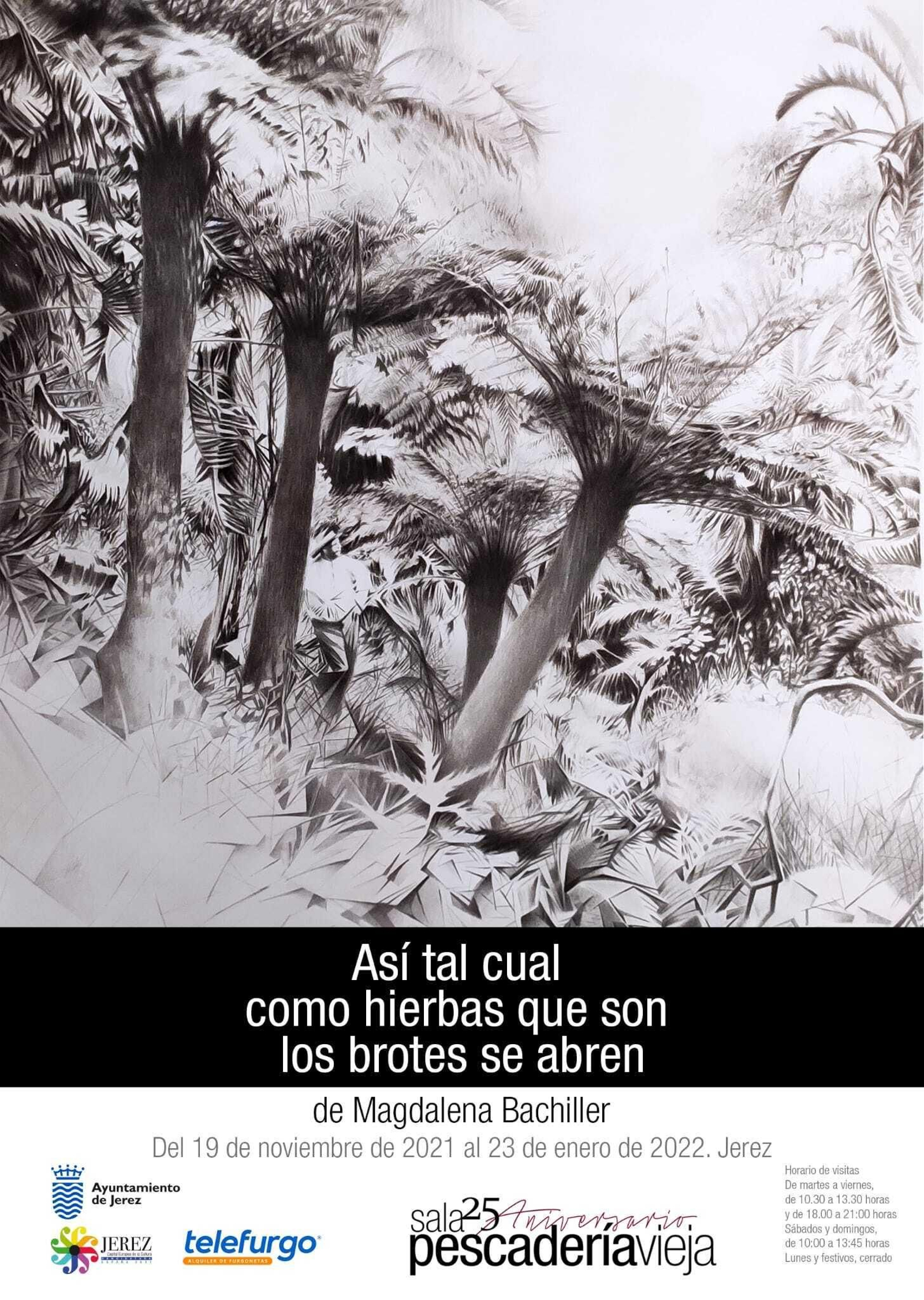 Qué hacer en Jerez el fin de semana