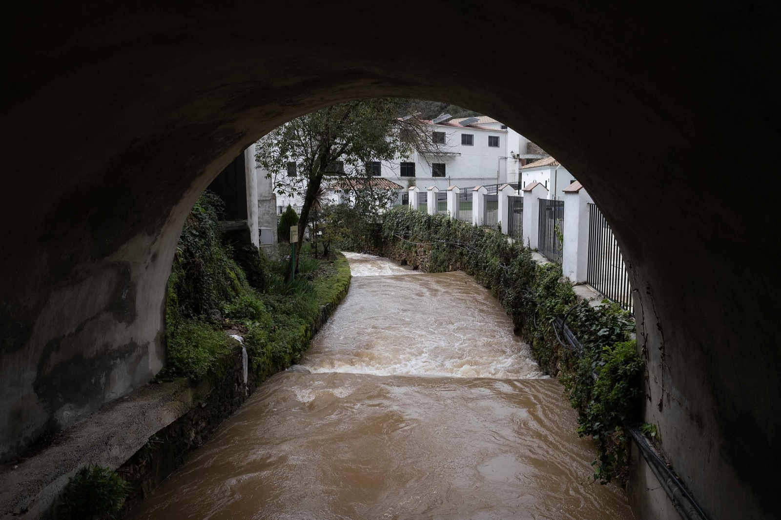 La lluvia transforma el paisaje de Málaga, en imágenes