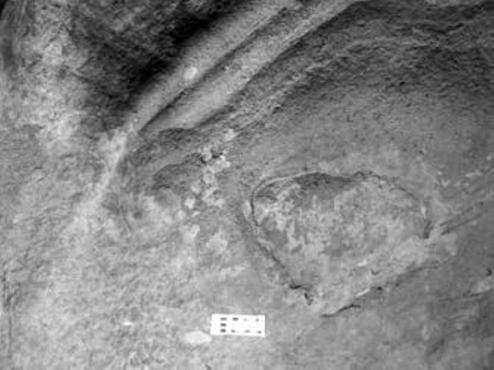 Imagen de la nueva cueva descubierta por Lothar Bergmann.