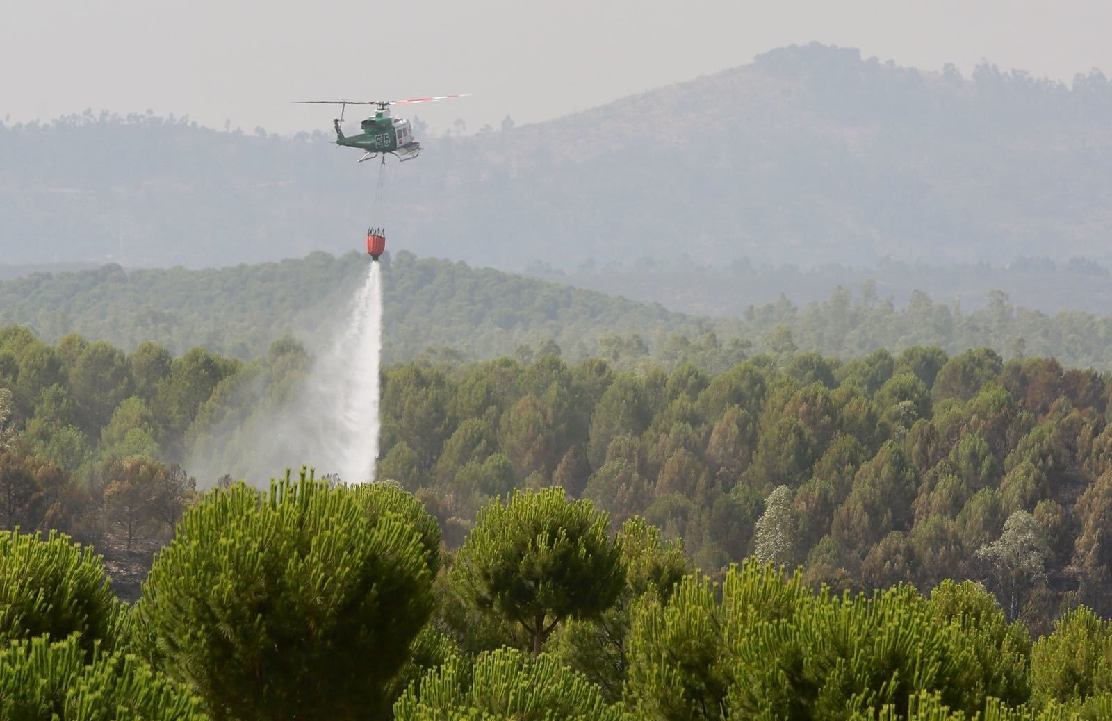 Los trabajos del Infoca en el incendio de Almonaster