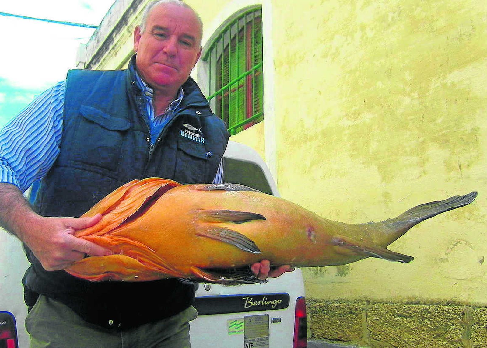 Diego Lora, de pescados Bedimar, posa con un mero que va a enviar a un cliente.