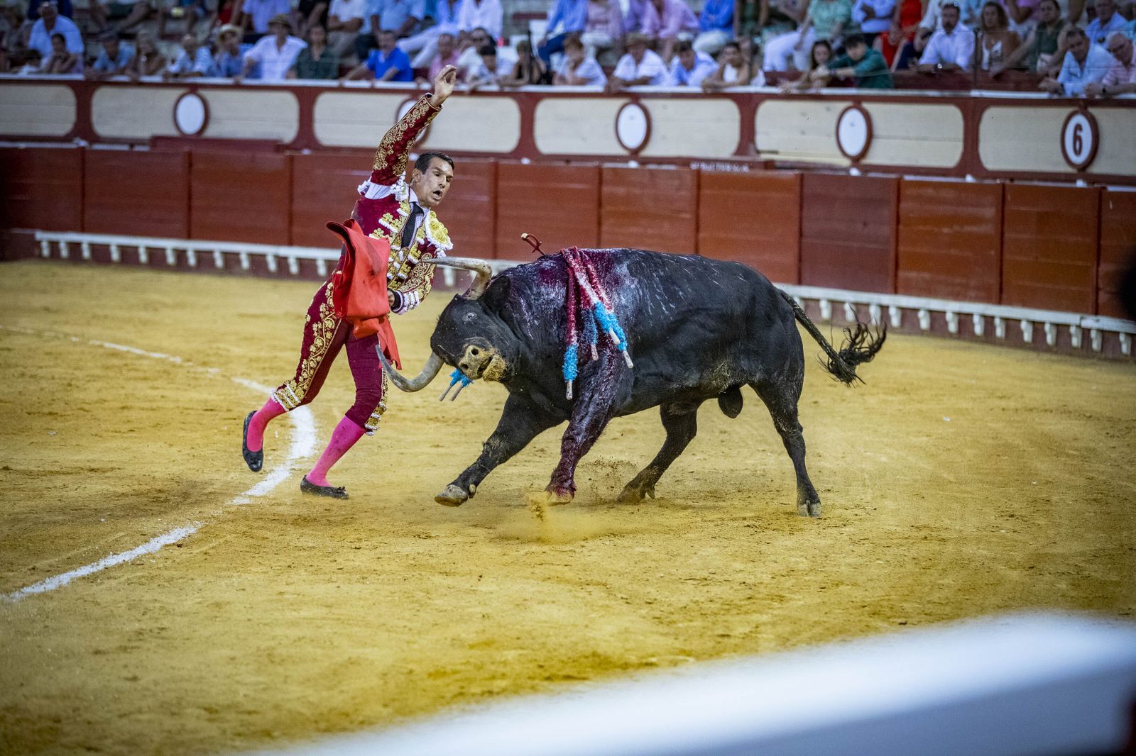 Daniel Crespo, Manzanares y Juan Ortega, en la plaza de toros de El Puerto