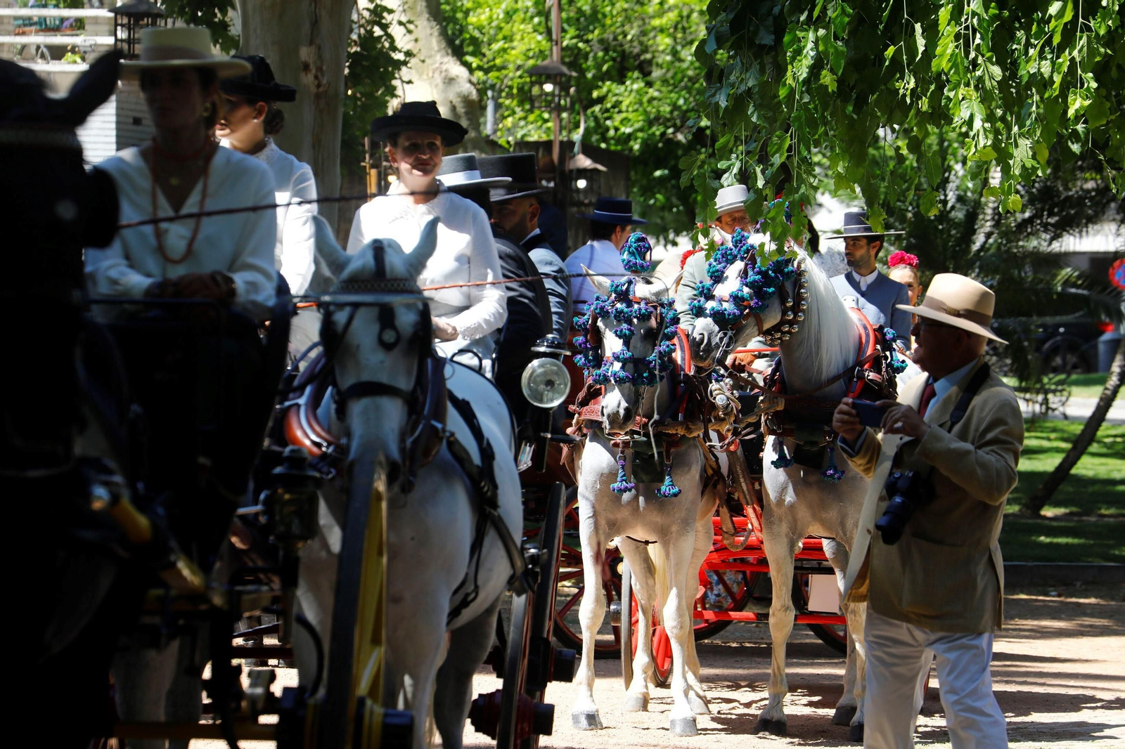 La exhibición de carruajes de tradición Nuestra Señora de la Salud, en imágenes