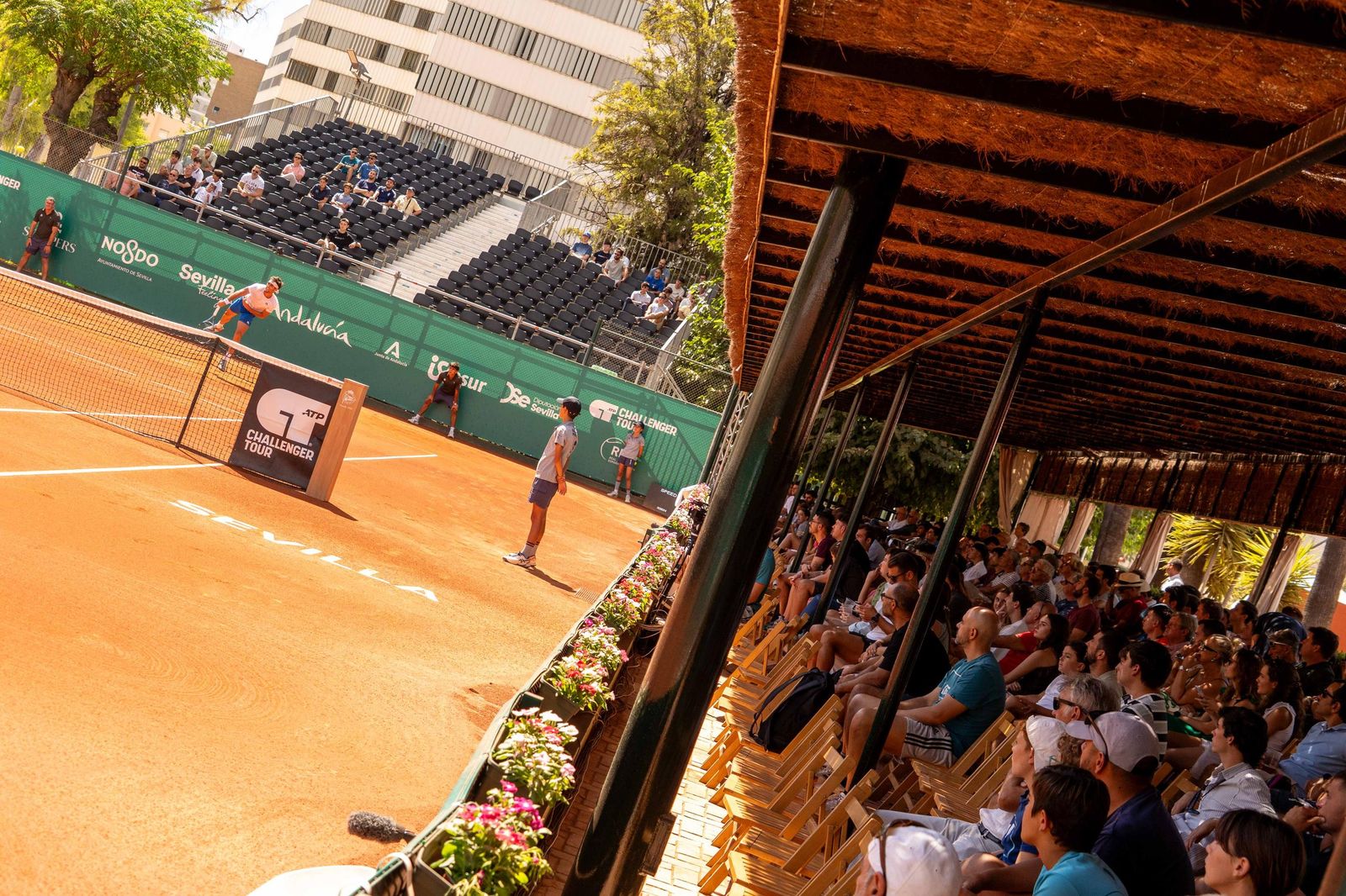 Buse - Taberner (3).jpg