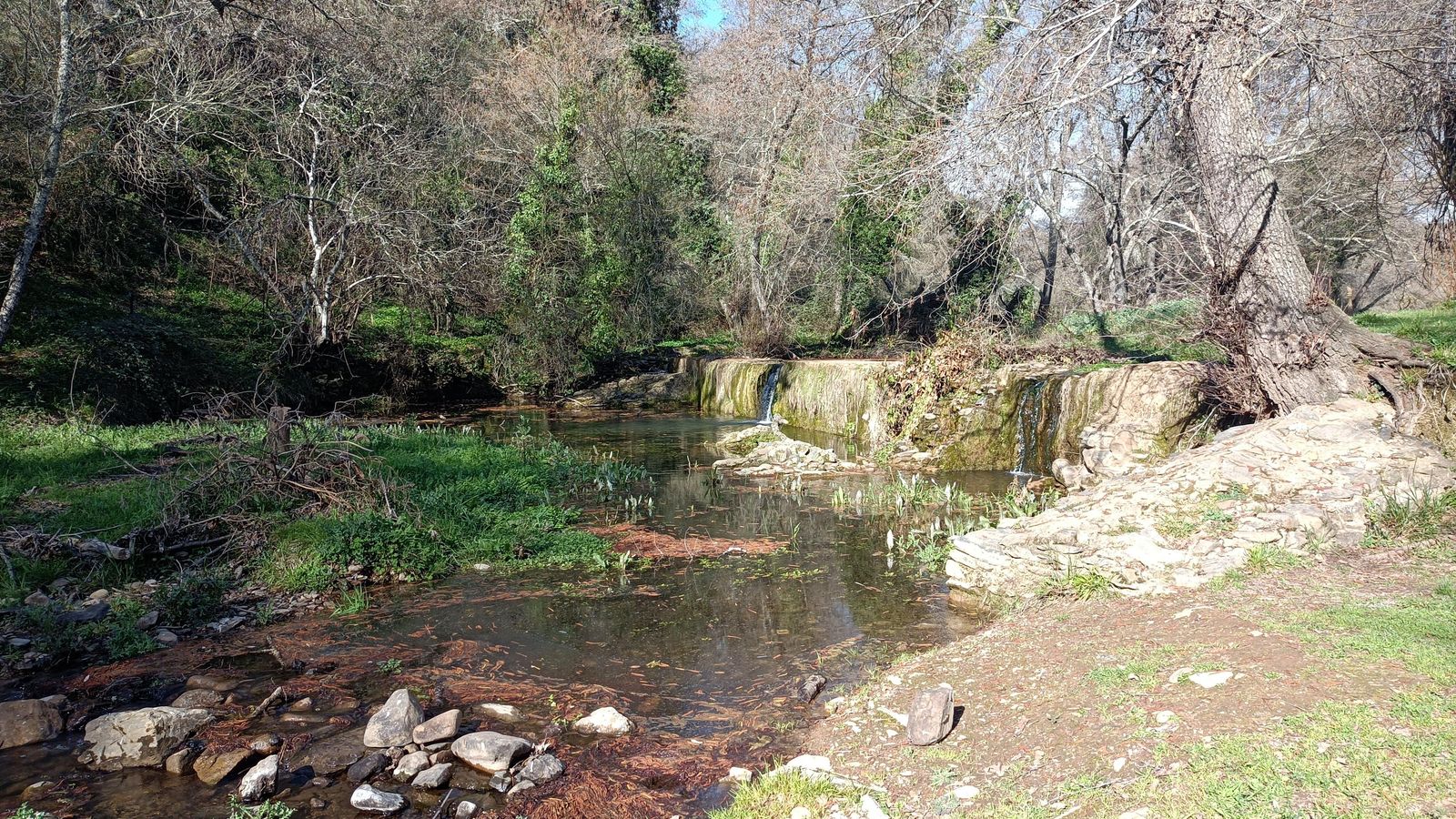 Las fotos de la circular de los Molinos del Ciudadeja