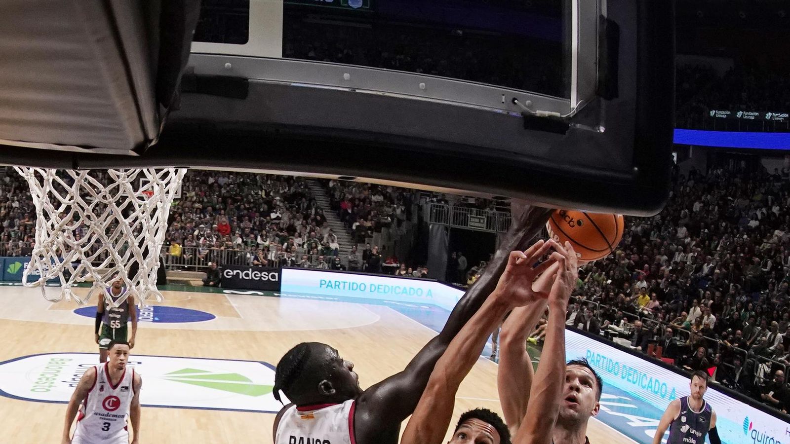 El Unicaja-Casademont Zaragoza, en fotos