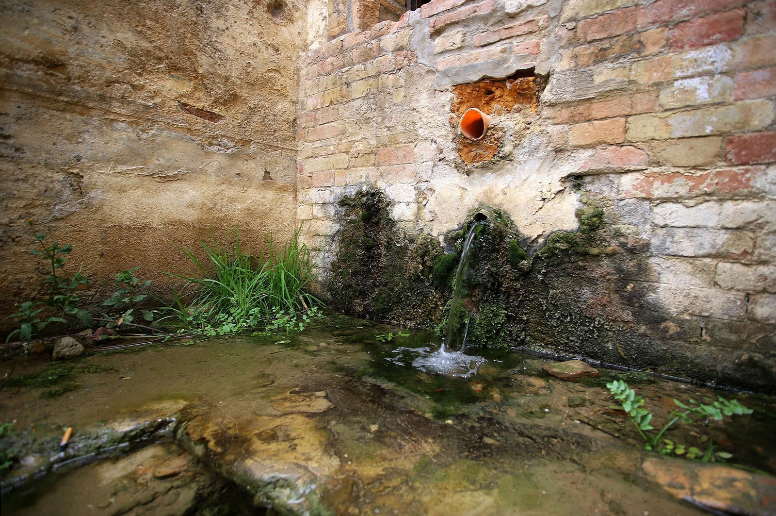 Imágenes de La Fuente Vieja y su entorno
