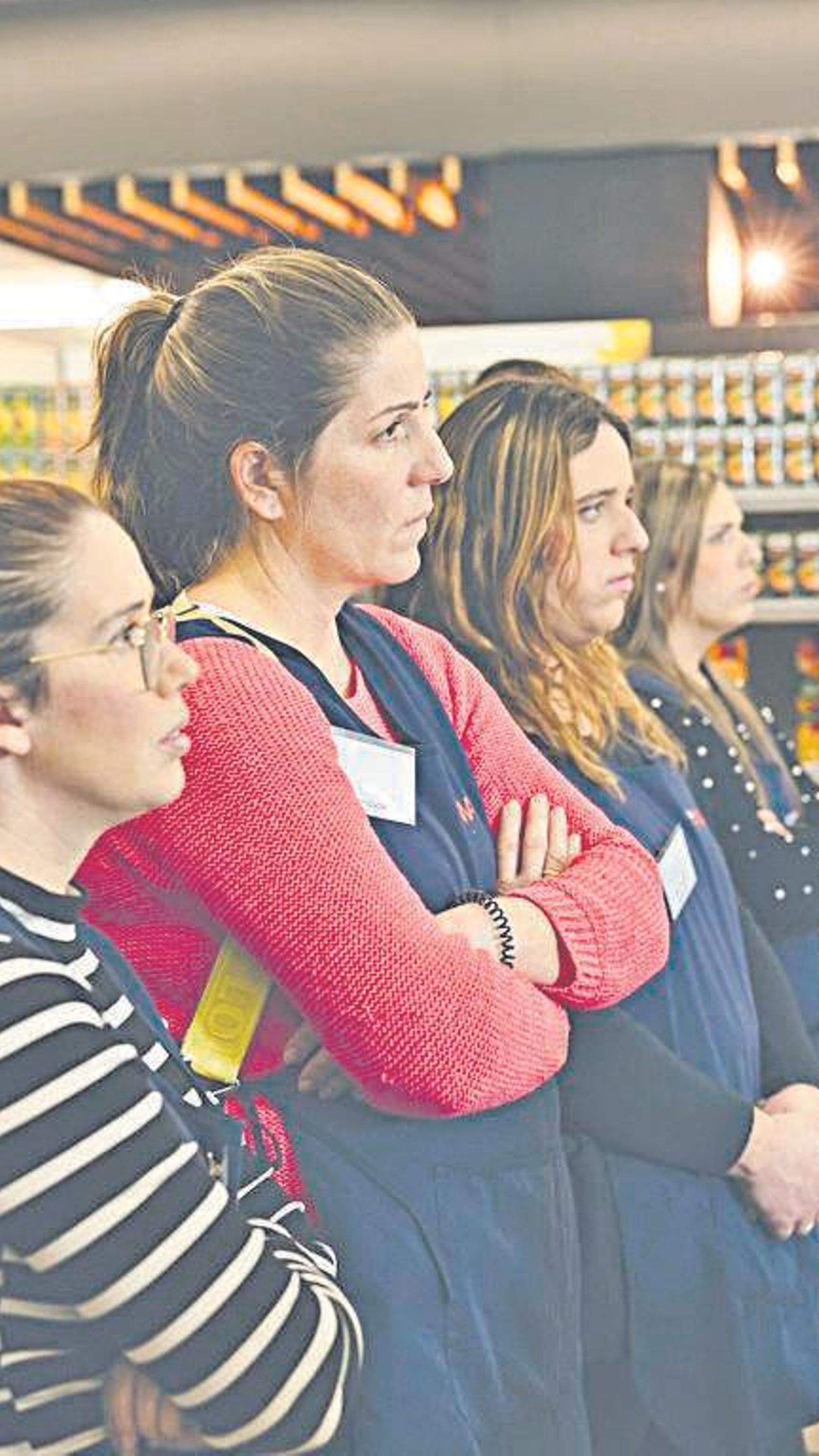 Cursos de frescos de carnicería