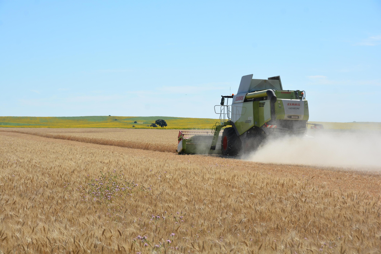 Producción de cereal.