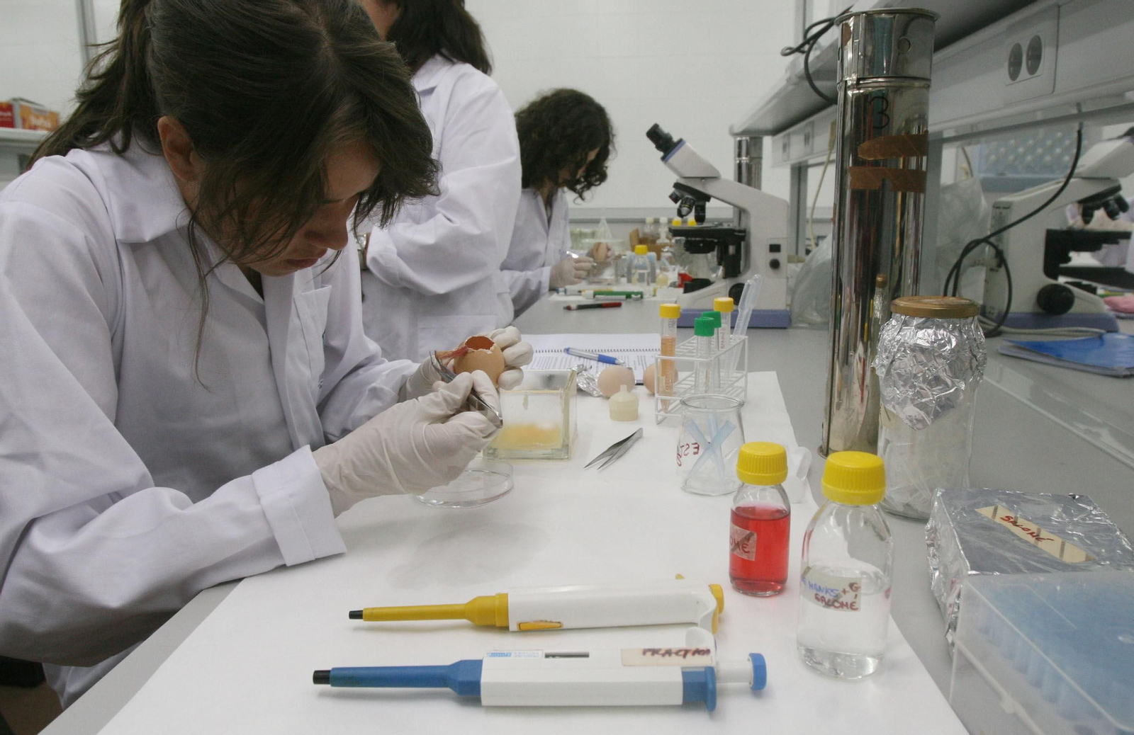 Varios jóvenes en un laboratorio durante la realización de un experimento.