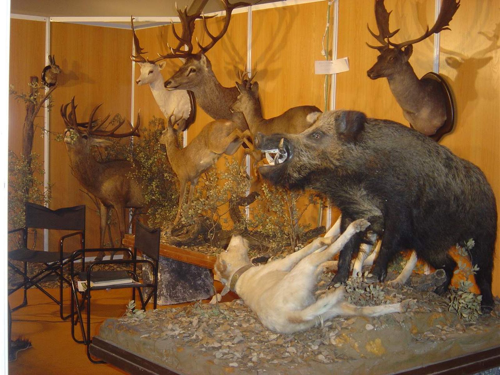 Animales disecados en un stand en una edición anterior.